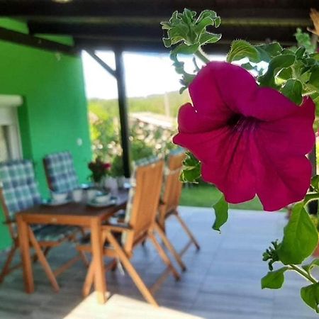 Ruralna Kuca Za Odmor Viktorija Villa Caglin Kültér fotó