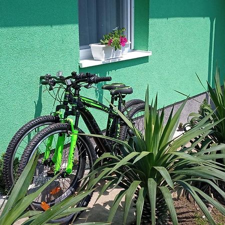 Ruralna Kuca Za Odmor Viktorija Villa Caglin Kültér fotó