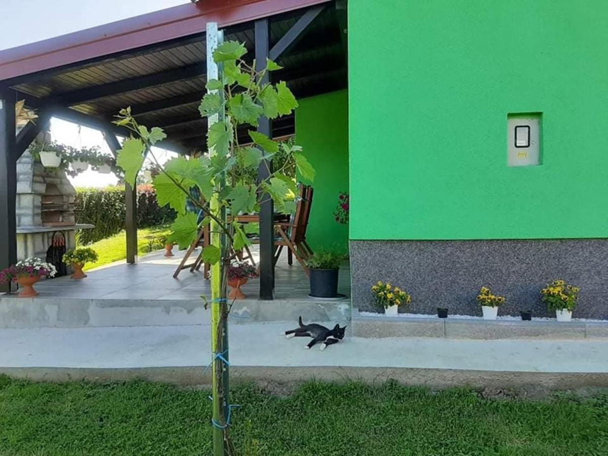 Ruralna Kuca Za Odmor Viktorija Villa Caglin Kültér fotó
