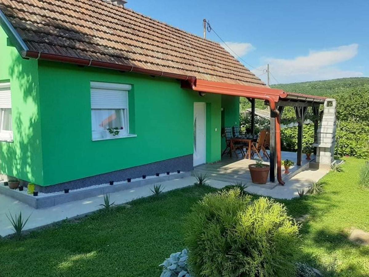 Ruralna Kuca Za Odmor Viktorija Villa Caglin Kültér fotó
