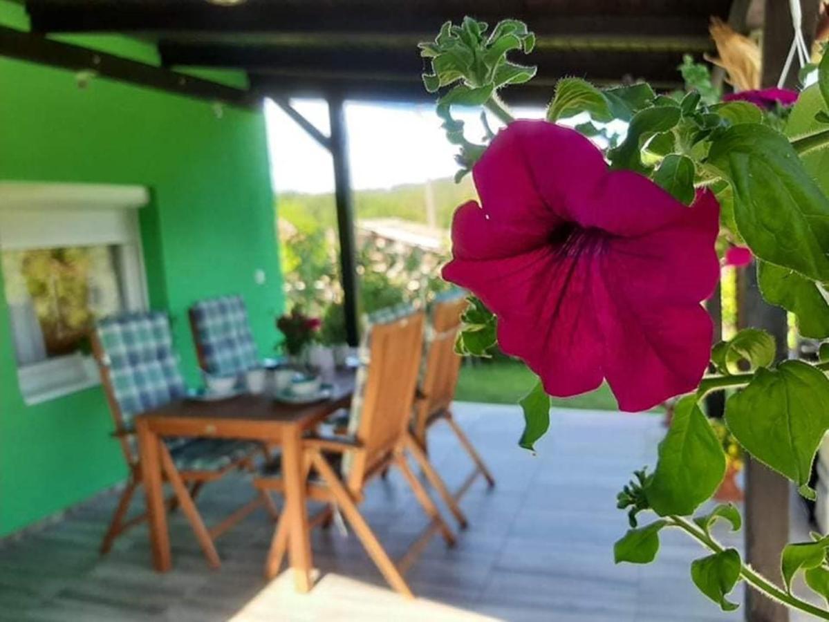 Ruralna Kuca Za Odmor Viktorija Villa Caglin Kültér fotó