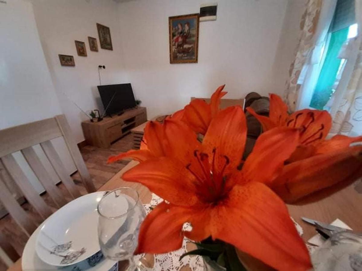 Ruralna Kuca Za Odmor Viktorija Villa Caglin Kültér fotó